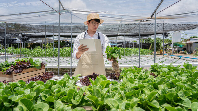 A man is standing in a greenhouse with a tablet in his hand