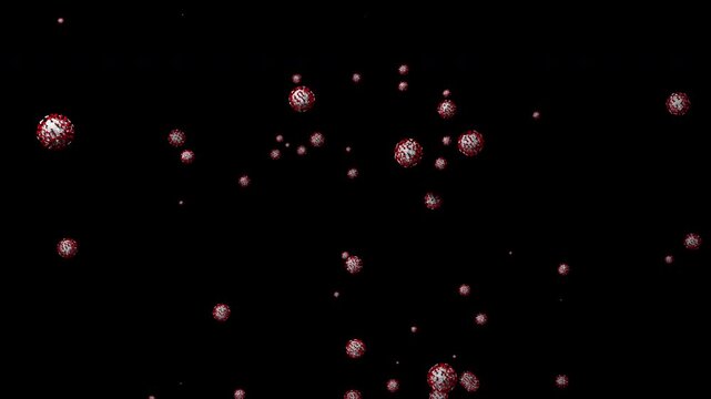 Multiple red-spiked viral microorganisms rise up and tumble in the air. An abstract scientific animation depicting infectious pathogens moving against a dark background.
