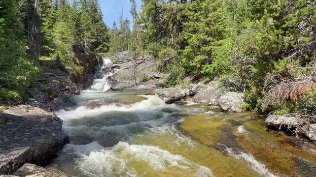 Bear Creek, a stream in the Bitterroot National Forest in Western Montana. 
