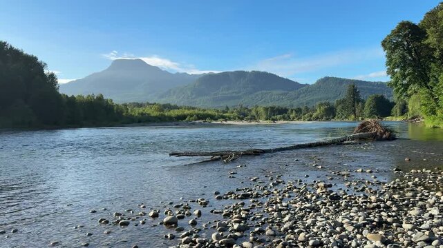 Video of a Washington state Cascade mountains with the Skagit river during early summer season 