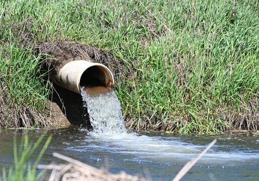 Water Flowing from Culvert