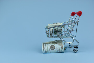 Mini shopping cart holds crumpled bills © Nazir