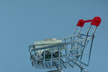 Mini shopping cart holds crumpled bills © Nazir