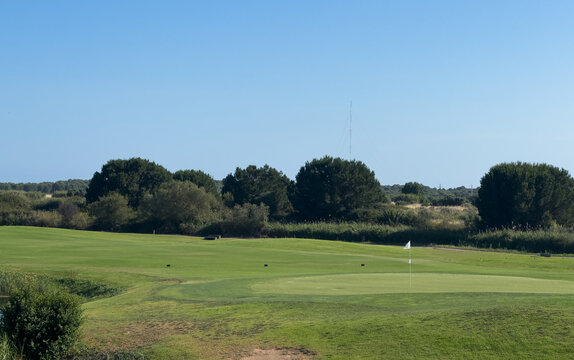 Vibrant green golf course landscape with mature trees under a clear blue sky 