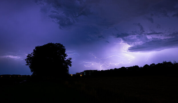 Dramatic purple lightning storm illuminates a rural horizon with silhouetted tree in the foreground