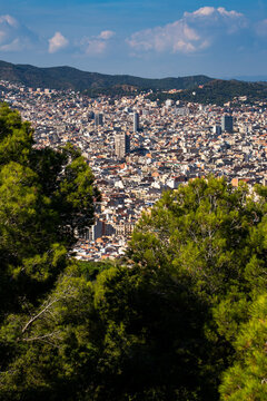 Epic traditional European coastal town vertical aerial panorama pine trees background.
