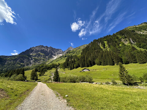 at the Great Walser Valley in Austria
