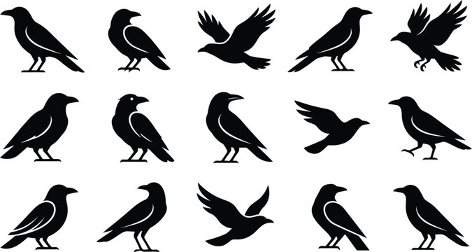 black silhouettes of crows in various poses for Halloween or gothic design