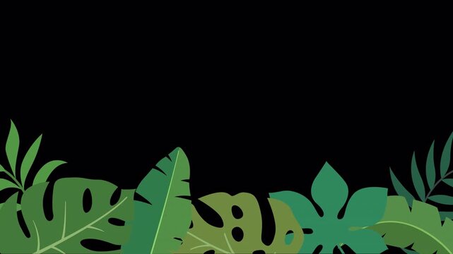 Tropical leaves frame background. Animated jungle foliage border. Summer nature design motion graphic.