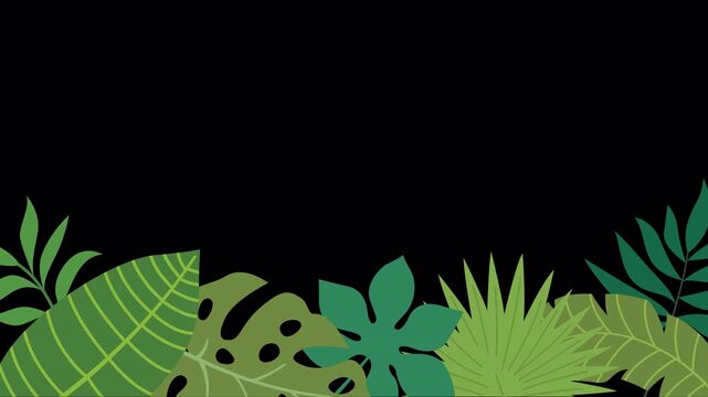 Tropical leaves frame animation. Flat design jungle foliage background. Botanical summer nature border.