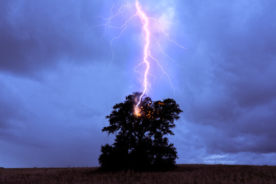 Lightning bolt hitting a lone tree, starting a fire during a dark storm