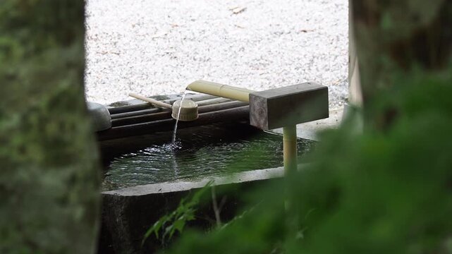 夏の観光名所平湯温泉の平湯神社の手水舎の風景