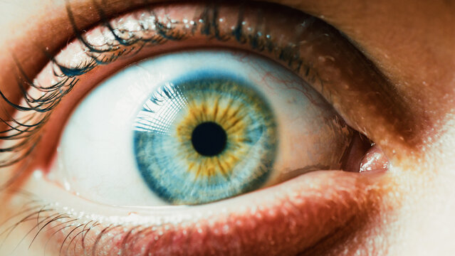 Blue eye look into the camera 