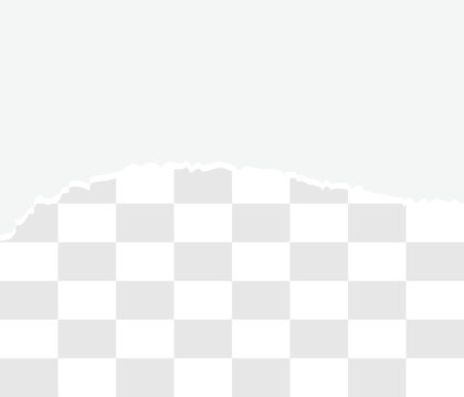 torn paper icon vector ,ripped page edge flat icon design
