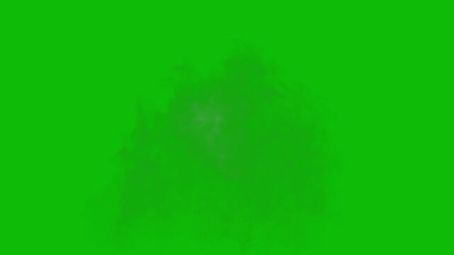 Wispy white smoke cloud expanding outwards isolated on a solid green screen background for video compositing