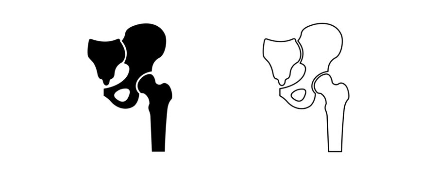 Human hip bone silhouette and outline anatomy illustration, femur pelvis acetabulum diagram comparison for medical study and design