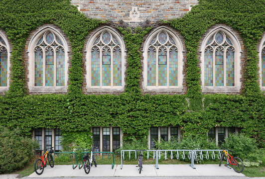 Ivy covered wall of gothic style college buildiing
