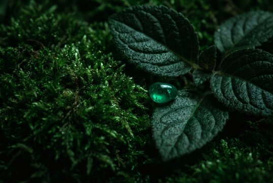 Emerald green gemstone on dark leaves and moss macro with dramatic light, luxury gem and natural crystal concept