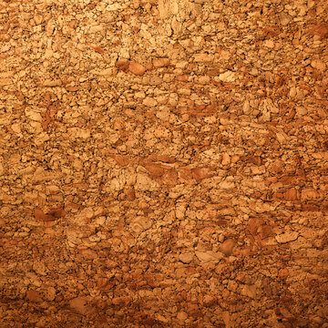 A detailed full frame close up texture background of natural brown balsa cork wood sheet panel, featuring a seamless grainy structure and organic pattern surface