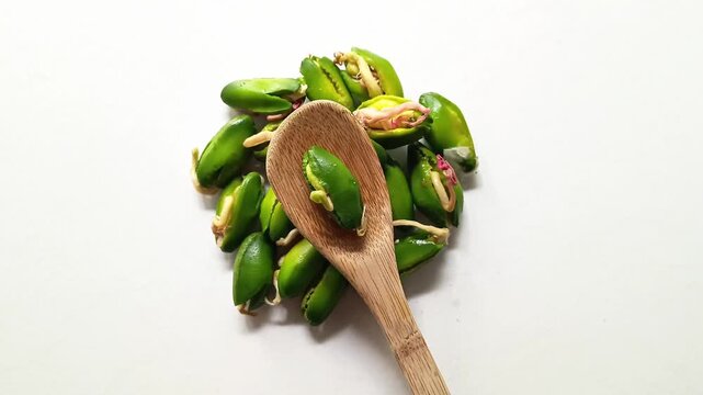 Heap of germinated green paterna seeds of Inga jinicuil with a wooden bamboo spoon for typical dish from Guatemala