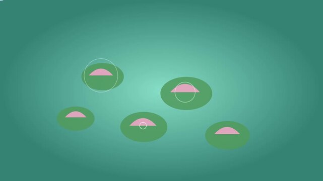 Abstract motion with pulsing circles and pink semi-circles on green animation 4k background, motion animation