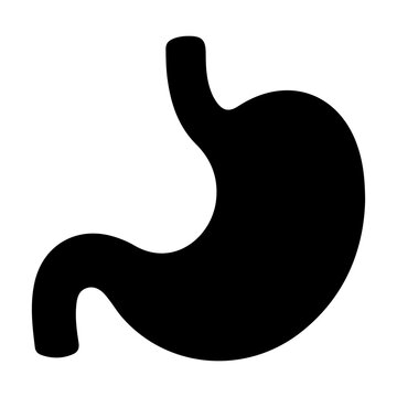 Stomach and Digestive System Icon