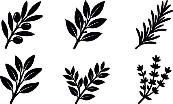 Black and white silhouette herbs and olive branch vector art set