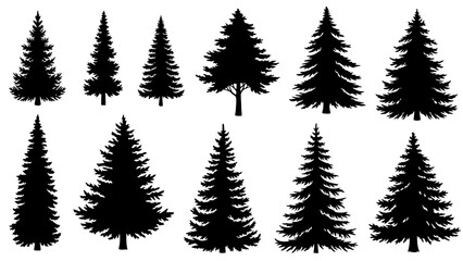 Obraz premium Collection of Silhouetted Evergreen Trees, Including Pine and Fir Varieties, Displayed Against a White Background.