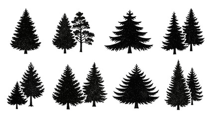 Obraz premium Collection of Silhouetted Evergreen Trees, Including Pine and Fir Varieties, Against a White Background.