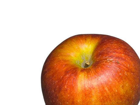 Top stem depression and textured skin of a ripe yellow-orange apple