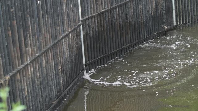 Invasive Carp jumping fence put up by the DNR to stop them from entering the main part of the lake to get upstream in Minnesota