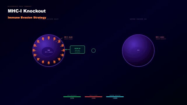 This medical animation illustrates how CRISPR Gene Therapy is used to knock out MHC class one molecules from cell surfaces to enable immune system evasion strategies.