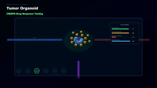 This sophisticated animation demonstrates how CRISPR Gene Therapy affects tumor organoid development through a digital interface showing real time data for advanced healthcare research applications.