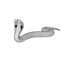Fototapeta premium black and white drawing of a snake with detailed scales and pattern