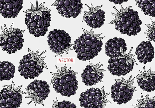 Detailed vector illustration of ripe blackberries in an etched ink style featuring purple drupelets and grey sepals scattered on a light textured background for organic food themes.