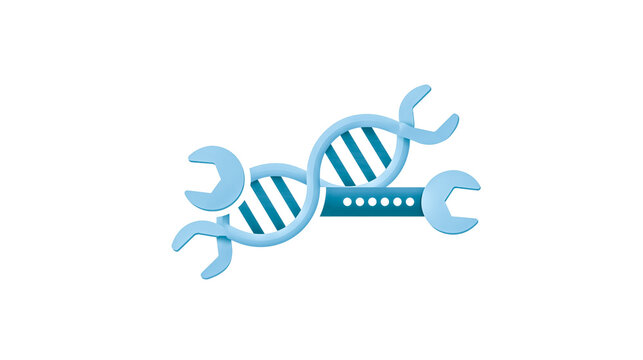 Genetic Engineering Icon: A stylized illustration depicting a DNA double helix intertwined with wrench tools, symbolizing genetic modification and biotechnology innovation.