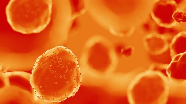 A computer generated microscopic view of the Hanta Virus