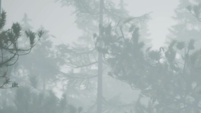 Trees are visible in a foggy forest. The scene shows a quiet morning where the fog obscures the view. The air feels cold and damp as nature is shrouded in mist.