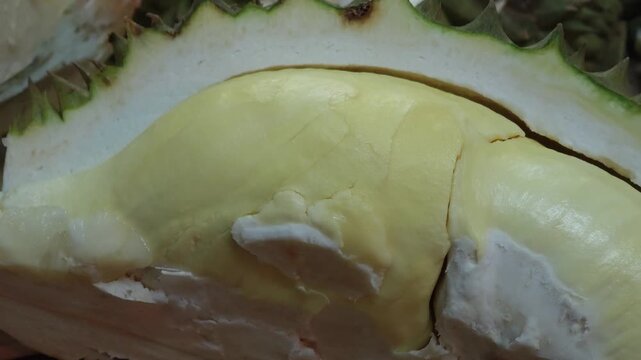 Freshly opened durian fruit showing creamy yellow