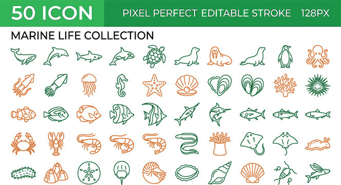 Marine life sea animals and ocean wildlife pixel perfect linear icons set for aquatic biology underwater nature diving zoo and seafood graphic elements,