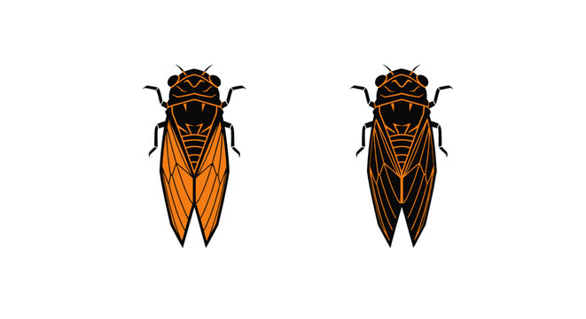 Detailed illustration of two cicada insects with orange wings.
