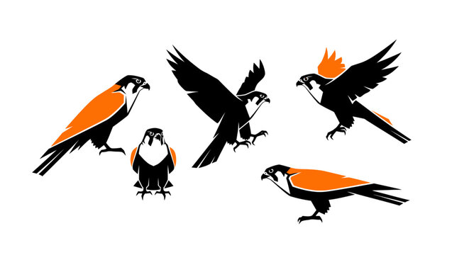 Colorful parrots in various flying and perching poses.