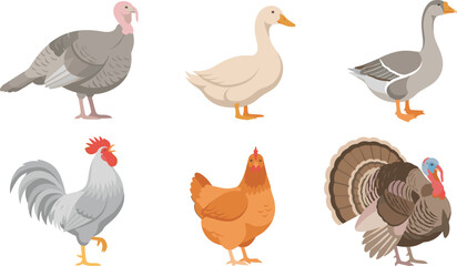 Fototapeta premium Poultry Farm Bird Vector Illustration Set Featuring Turkey Duck Goose Rooster and Hen Icons for Agriculture and Livestock Industry Designs