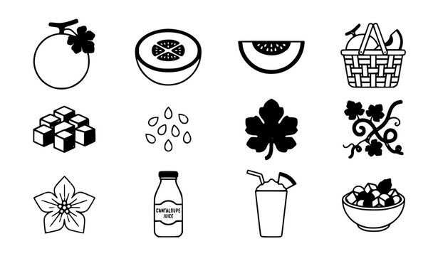 Minimal Cantaloupe Fruit Vector Icon Set with Melon Slices Seeds and Beverage Symbols