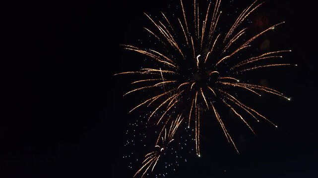 Forth of July Celebration fireworks going off in the night sky
