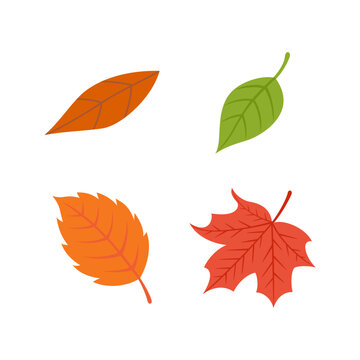 Autumn leaves elements. Set of autumn nature decorative elements vector illustration.
