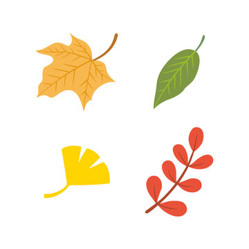 Autumn leaves and branches elements. Set of autumn nature decorative elements vector illustration.