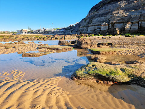 Coastal cliff overlooking Susan Gilmore Beach rock platform Newcastle New South Wales Australia. Taken at low tide