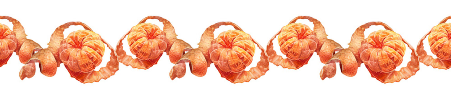 Seamless border with watercolor orange tangerine and peel on white background. Hand-drawn citrus fruit food for winter Christmas celebration. Menu and wrapping or wallpaper. New Year rim and frame