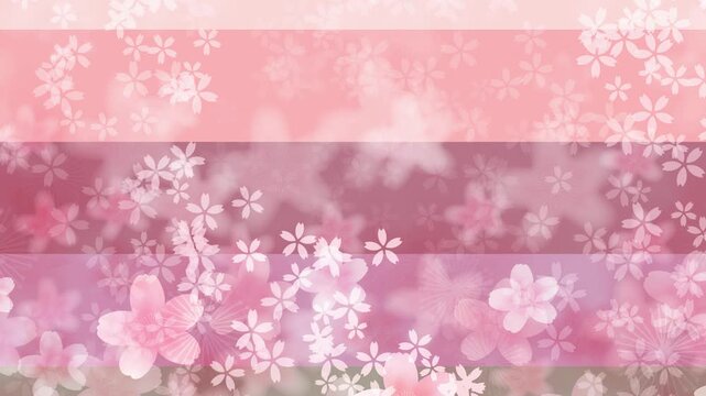 Soft Pink Cherry Blossom Petals 4K
